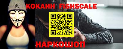 гашик Дмитров