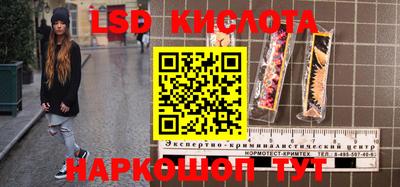 спиды Долгопрудный